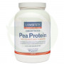 Pea Protein (Proteina de Guisantes) Lamberts