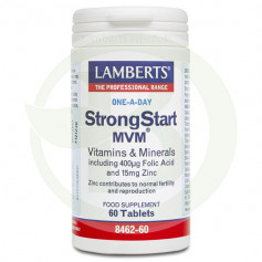 STRONGSTAR MVM (EMBARAZO) LAMBERTS