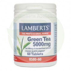 Té Verde Lamberts