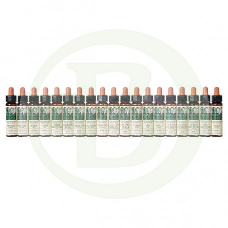 Elixir Floral 1 Agrimonia 10Ml. Plantis