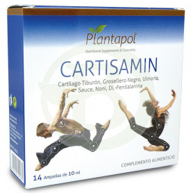 Cartisamin 14 Ampollas Planta Pol