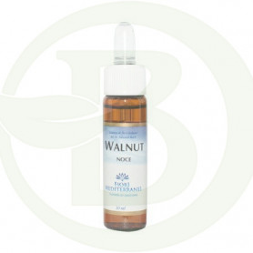 FM Walnut 10Ml. Forza Vitale