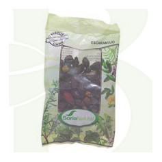 Escaramujo Bolsa 100Gr. Soria Natural