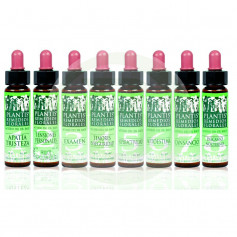 Temores e Inseguridad 20Ml. Plantis