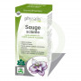 Salvia Esclarea 10Ml. Physalis