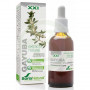 Extracto De Gayuba Formula XXI 50Ml. Soria Natural