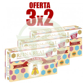 Pack 3x2 Reina Real Junior Robis