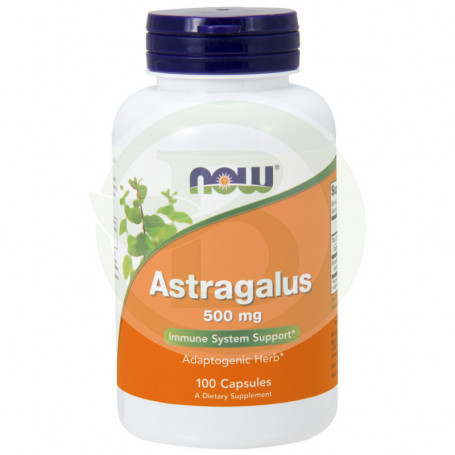 Astrágalo 500Mg. 100 Cápsulas Now