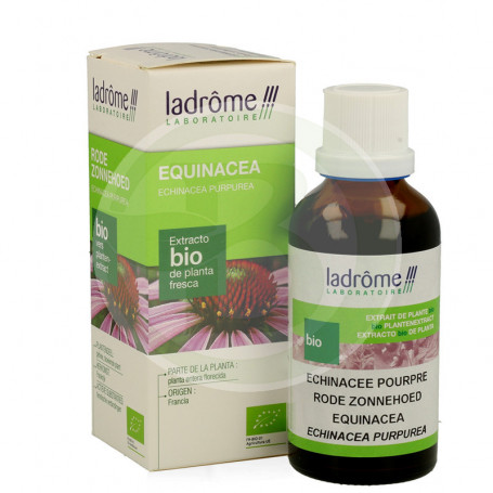 Equinacea 50Ml. Ladrome