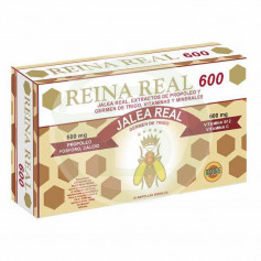 Reina Real 600 20 Ampollas Robis