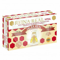 Reina Real Vital 20 Ampollas Robis