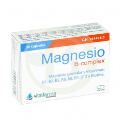 Magnesio B-Complex 30 Cápsulas Vitalfarma