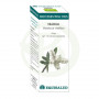 Bio Essential Oil Niaouli 10Ml. Equisalud