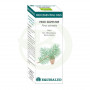 Bio Essential Oil Pino Silvestre 10Ml. Equisalud