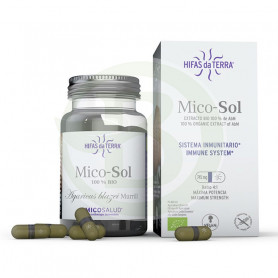 Mico Sol Champiñón del Sol Hifas da Terra