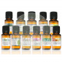 Aceite Esencial De Laurel 10Ml. Terpeniclabs