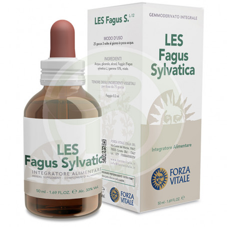 Les Fagus Sylvatica (Haya) 50Ml. Forza Vitale