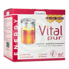 Vitalpur Energy 20 Viales Drasanvi