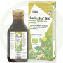 Gallexier Jarabe 250Ml. Salus