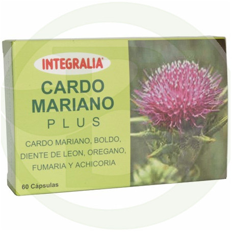 Cardo Mariano Plus Integralia