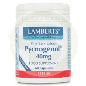 Pycnogenol Lamberts