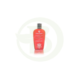 Gel De Ducha y Baño Azafran y Miel 250Ml Radhe Shyam