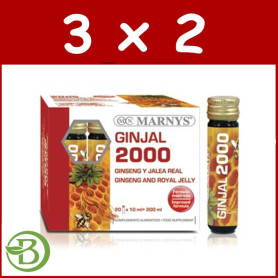 Pack 3x2 Ginjal 2000 Marnys