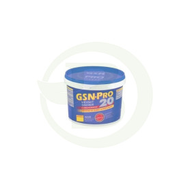 Pro Master 85 Vainilla 1Kg. G.S.N.