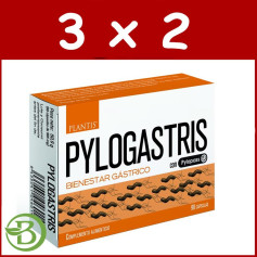 Pack 3x2 Pylogastris 90 Cápsulas Plantis