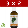 Pack 3x2 Oligoginkgo 100Ml. Plantis