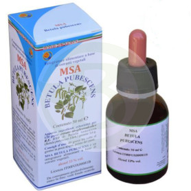 Msa Betula Pubescens Yemas 50 Ml Herboplanet