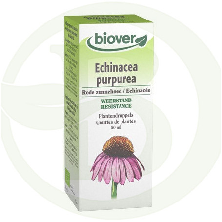 Extracto de Echinacea purpurea (Equinácea) Biover