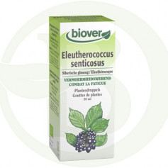 Extracto de Eleutherococcus Senticosus (Eleuterococo) Biover