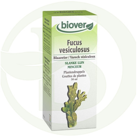 Extracto de Fucus Vesiculosus (Fucus) Biover