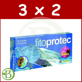 Pack 3x2 Fitoprotec con Echinacea 20 Ampollas Ynsadiet