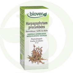 Extracto de Harpagophytum Procumbens (Harpagofito) Biover