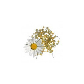 Manzanilla Dulce 100Gr. Rosana (Diplan)