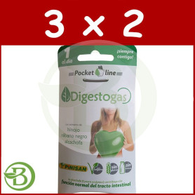 Pack 3x2 Digestogas 10 Cápsulas Pinisan