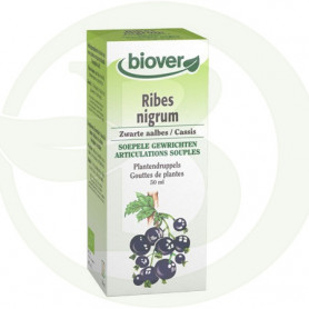 Extracto de Ribes Nigrum (Grosellero Negro) Biover