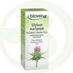 Extracto de Silybum Marianum (Cardo Mariano) Biover