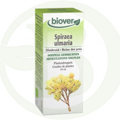Extracto de Spiraea Ulmaria (Ulmaria) Biover