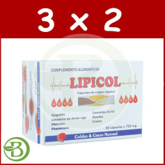 Pack 3x2 Lipicol 60 Capsulas Golden Green