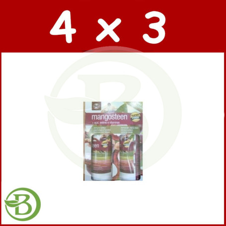 Pack 4x3 Mangosteen Plus Pack Economico 2Lt Naturmil