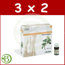 Pack 3x2 Plantaggio HB 20 Viales Derbos