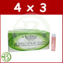 Pack 4x3 Placenta Vegetal con Ginseng 25Ml. Shila