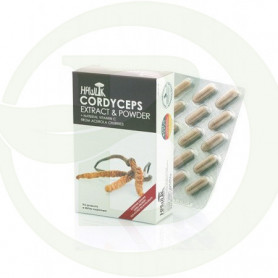 Cordiceps (Cordyceps Sinensis) Hawlik