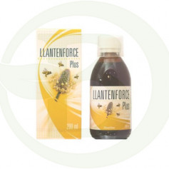 LlantenForce Plus Espadiet