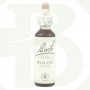 FLORES BACH WILLOW (SAUCE) 20 ML.