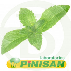 Stevia En Planta 50Gr. Pinisan