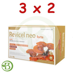 Pack 3x2 Recivel NEO 30 Ampollas Dietmed